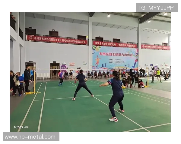 杭州羽毛球队比赛经验分享与提升策略探讨分析