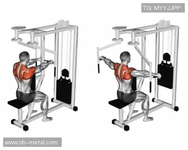 飞鸟健身器材买卖平台一览