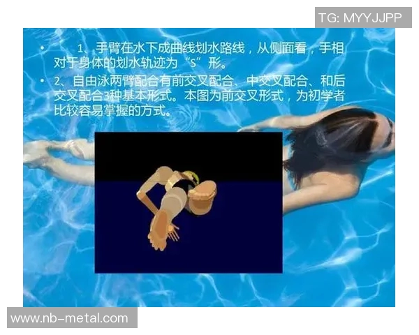 泳姿种类全面解析：自由泳 蛙泳 蝶泳 仰泳的技巧与训练方法